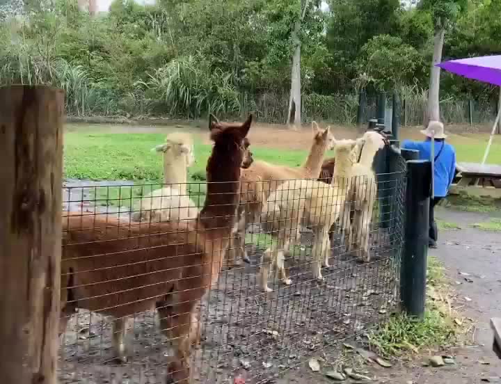 綠世界生態農場 | 去趣 chicTrip