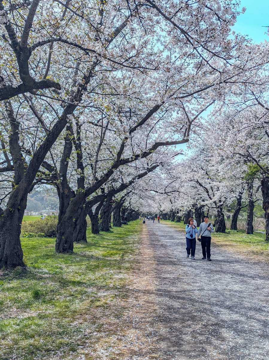 北上展勝地 | 去趣 chicTrip