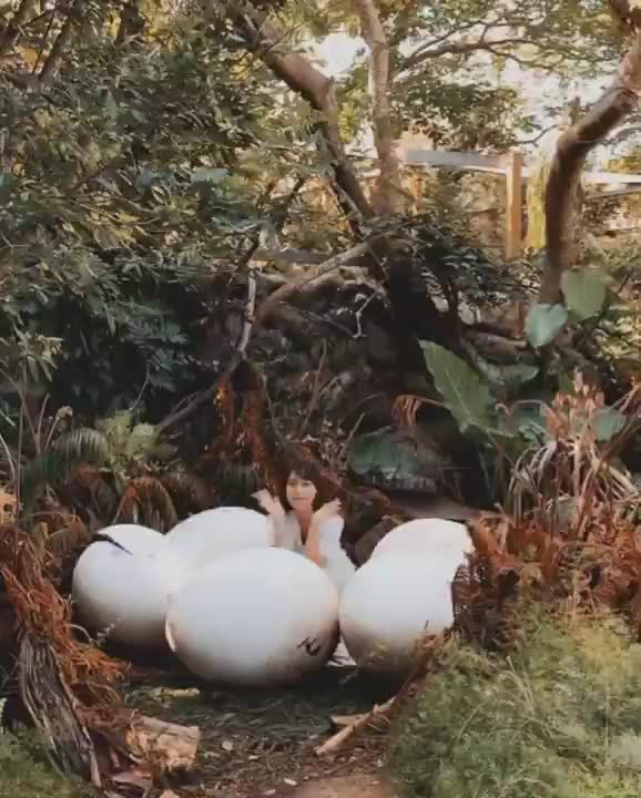 花露農場 Flower Home | 去趣 chicTrip