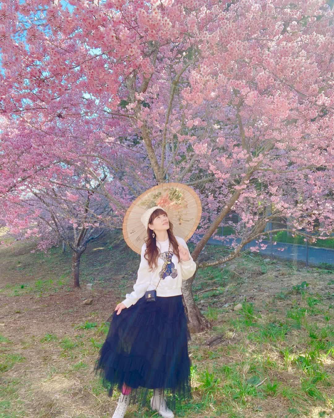 福壽山農場|千櫻園 | 去趣 chicTrip