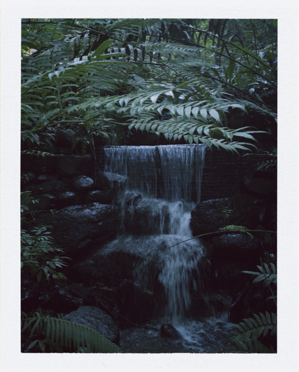 大板根森林溫泉酒店 | 去趣 chicTrip