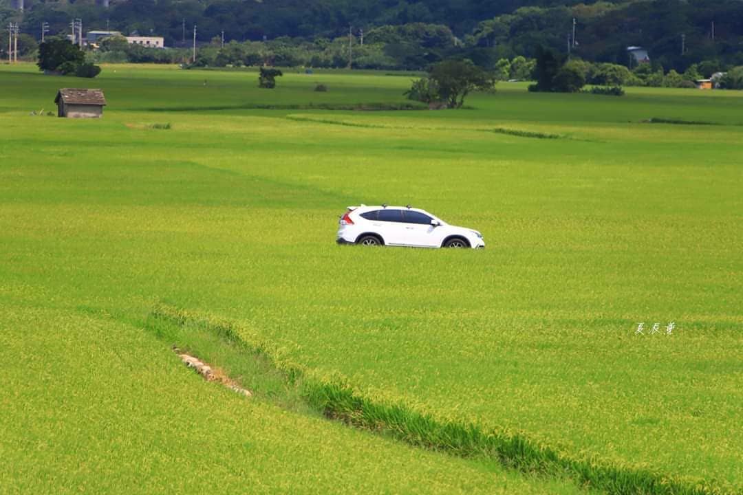 外埔忘憂谷 | 去趣 chicTrip