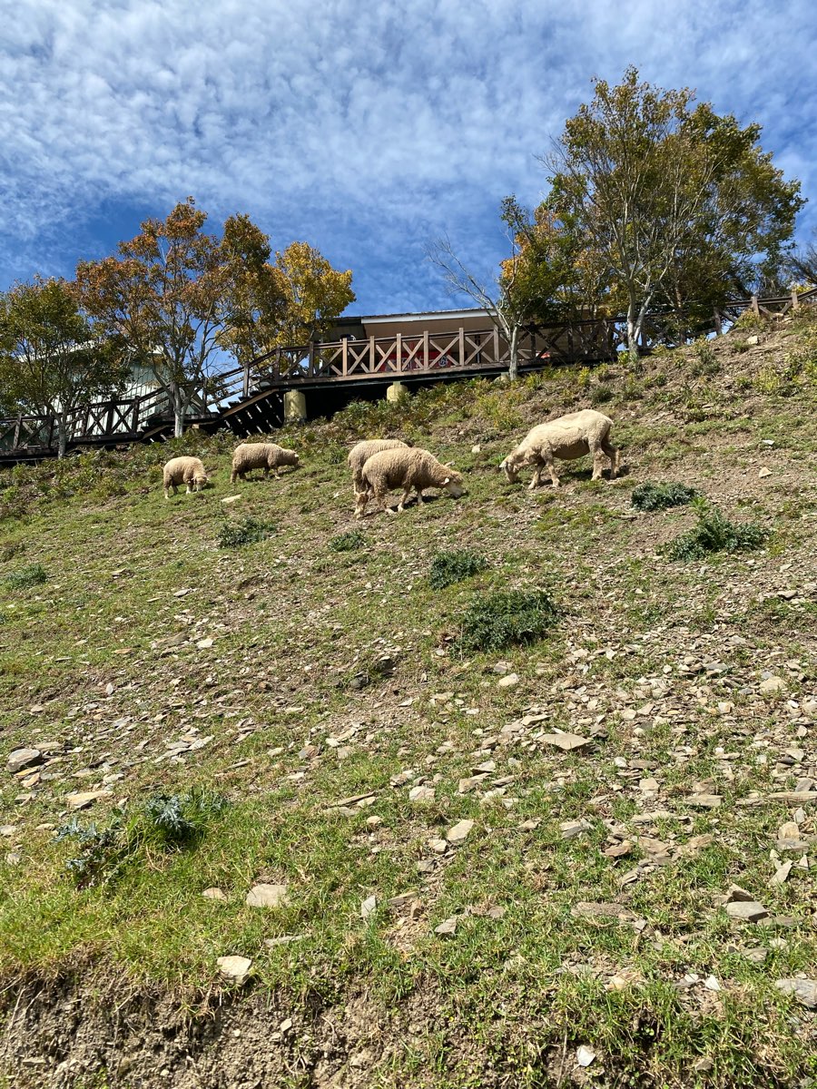 清境農場觀山牧區 | 去趣 chicTrip