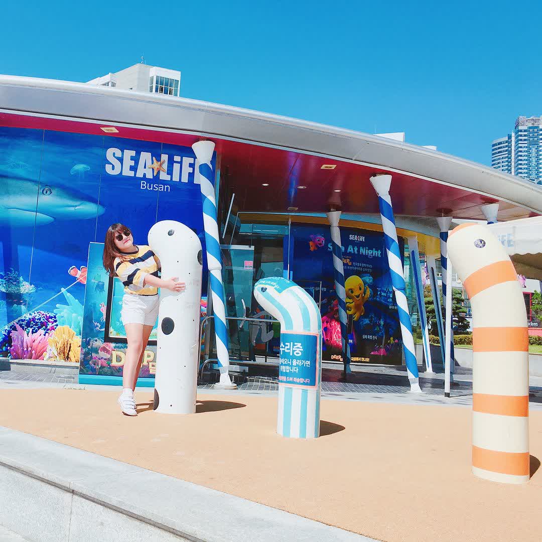 SEA LIFE釜山水族館 | 去趣 chicTrip