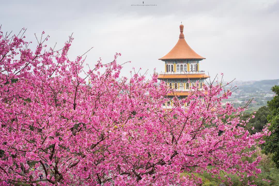 無極天元宮 | 去趣 chicTrip