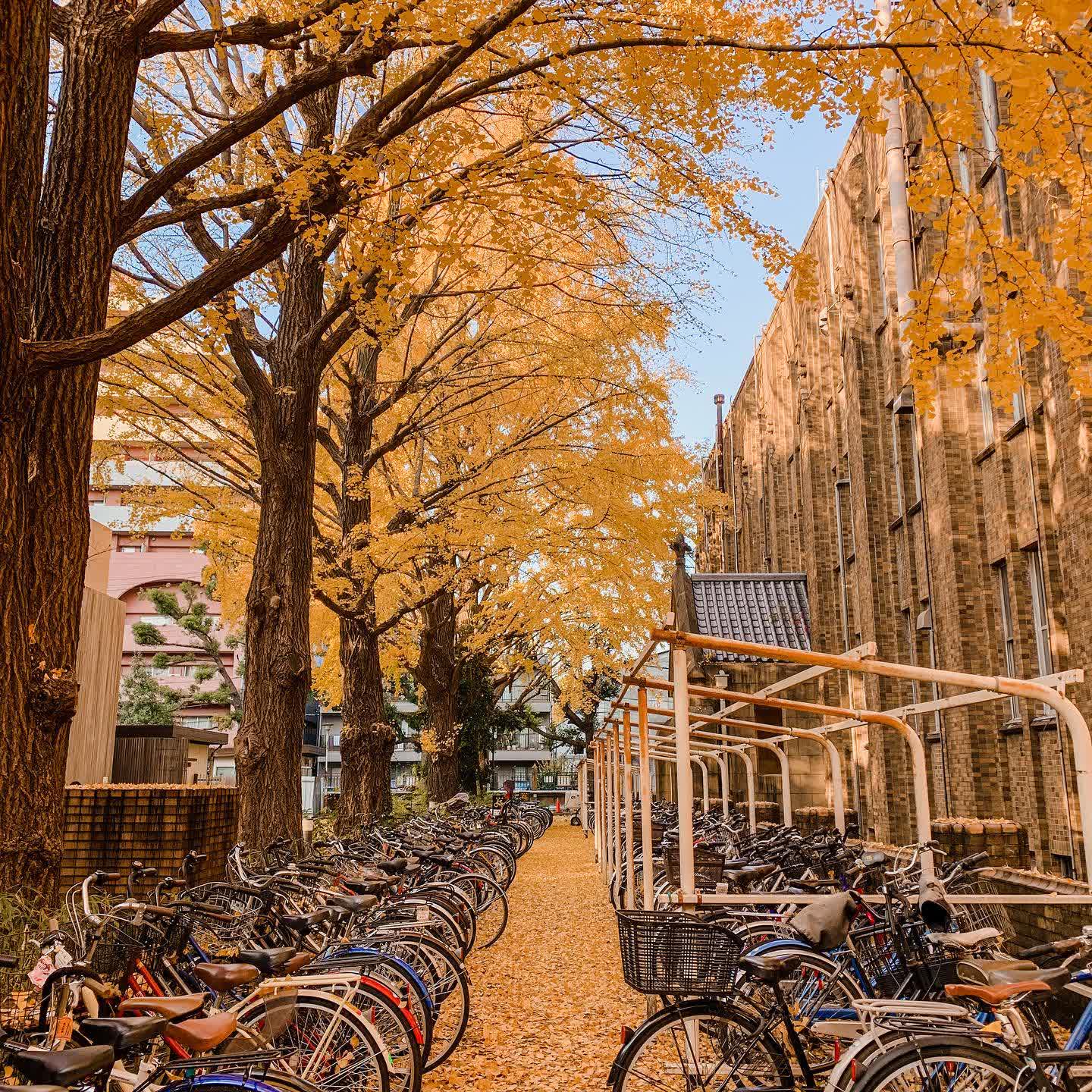 東京大學 | 去趣 chicTrip