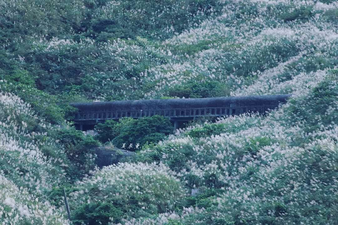 九份 | 去趣 chicTrip