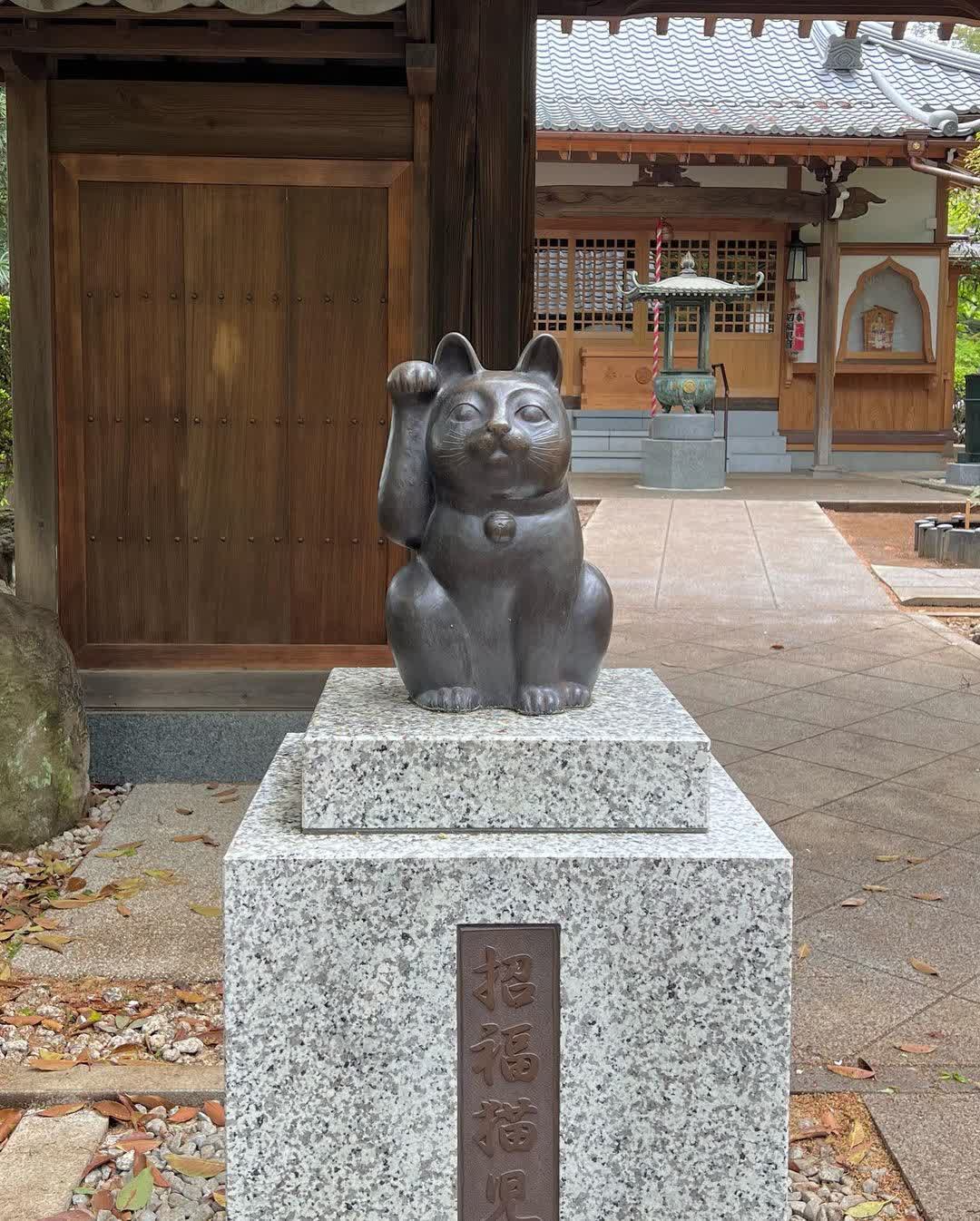 豪徳寺 招福殿 | 去趣 chicTrip