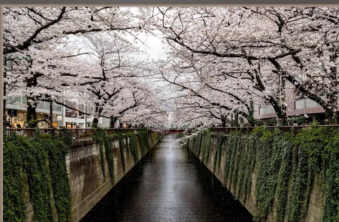 中目黑 | 去趣 chicTrip