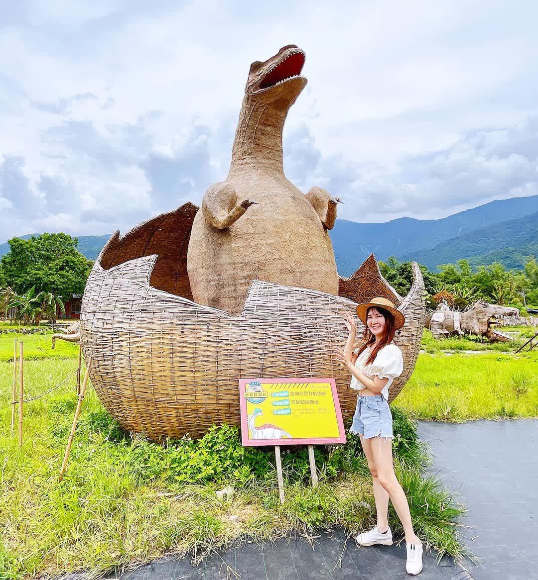 富里花海景觀區  (花蓮縣富里鄉農會旁) | 去趣 chicTrip