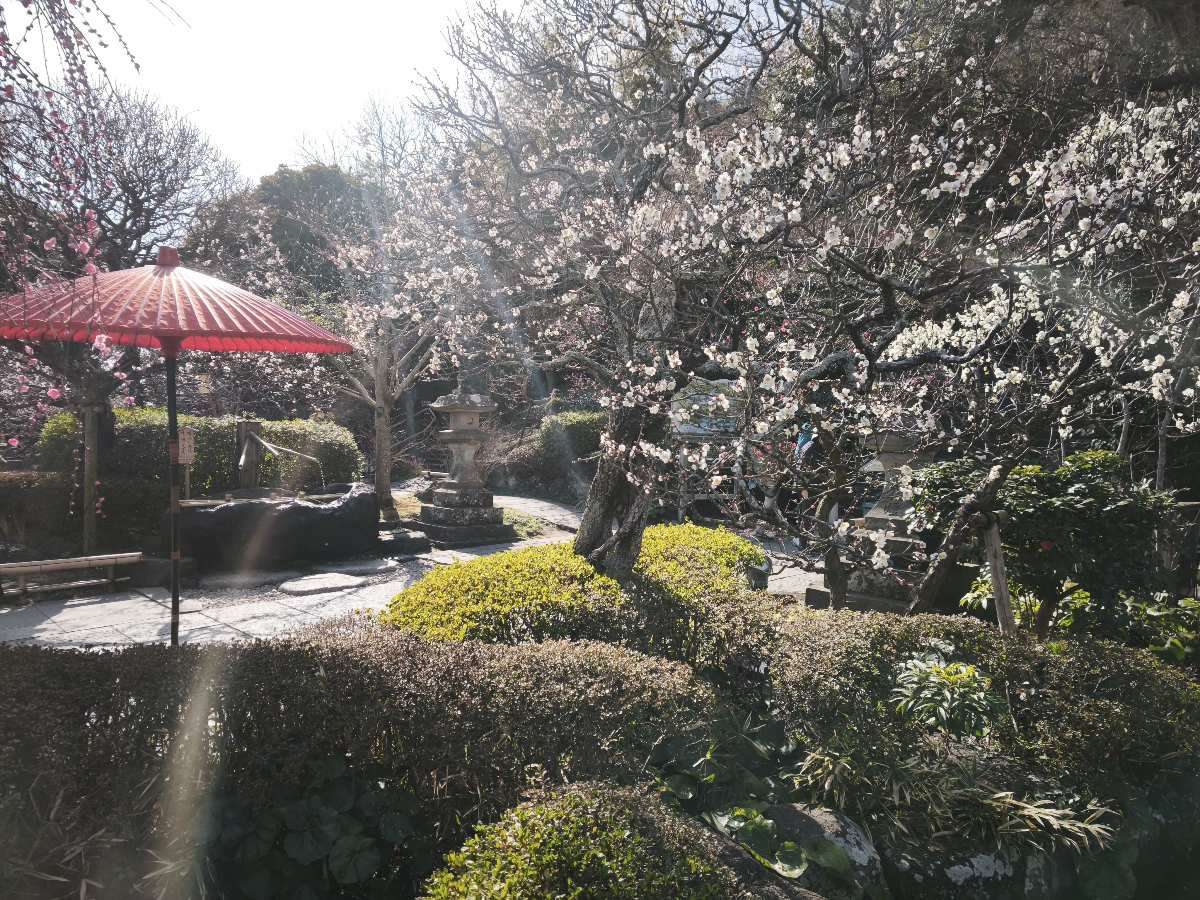 Hasedera | 去趣 chicTrip