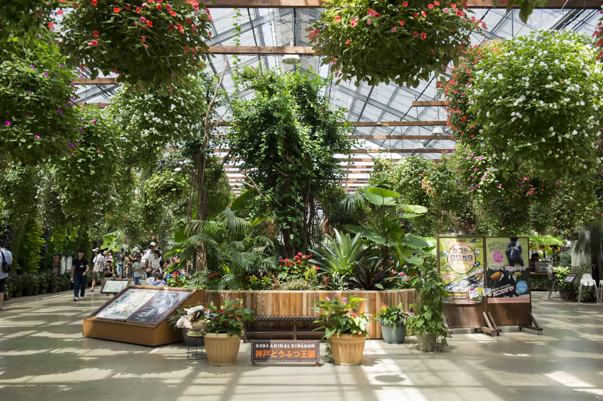 神戶動物王國 | 去趣 chicTrip