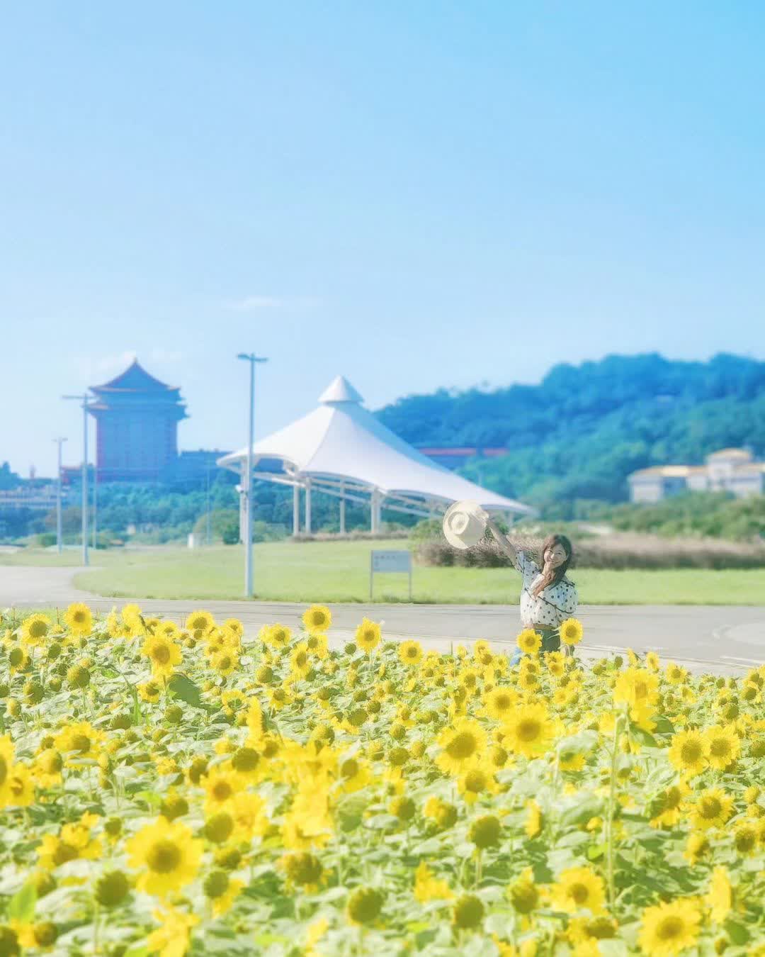 大佳河濱公園 | 去趣 chicTrip