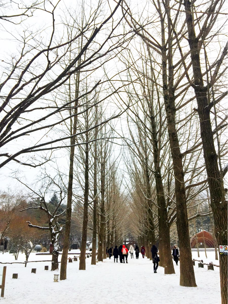 南怡島 售票所 | 去趣 chicTrip