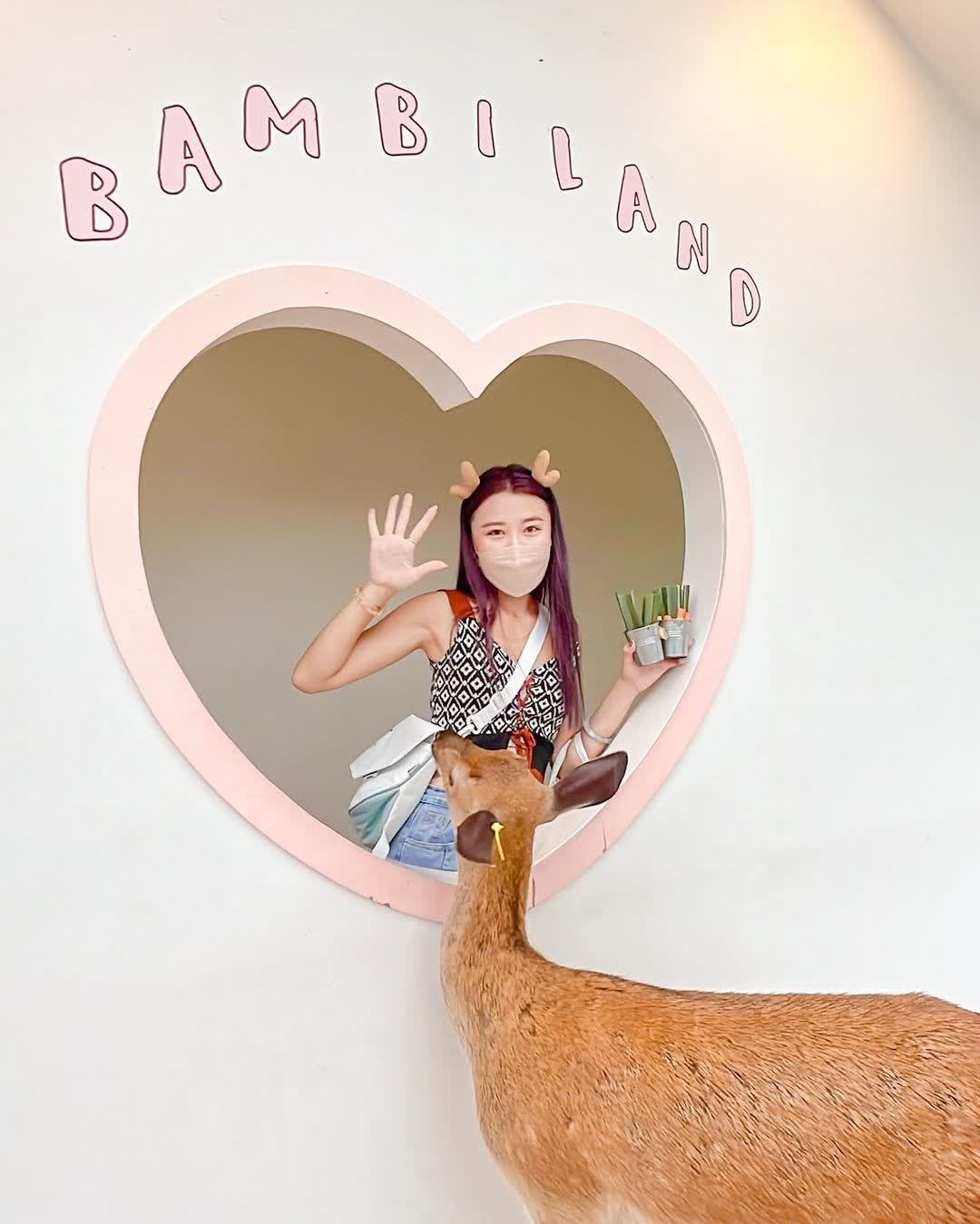 宜蘭-斑比山丘 | 去趣 chicTrip