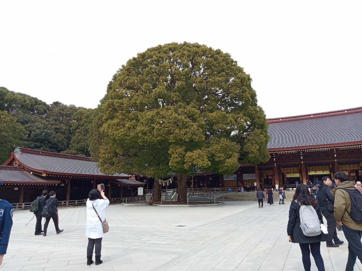 明治神宮 | 去趣 chicTrip