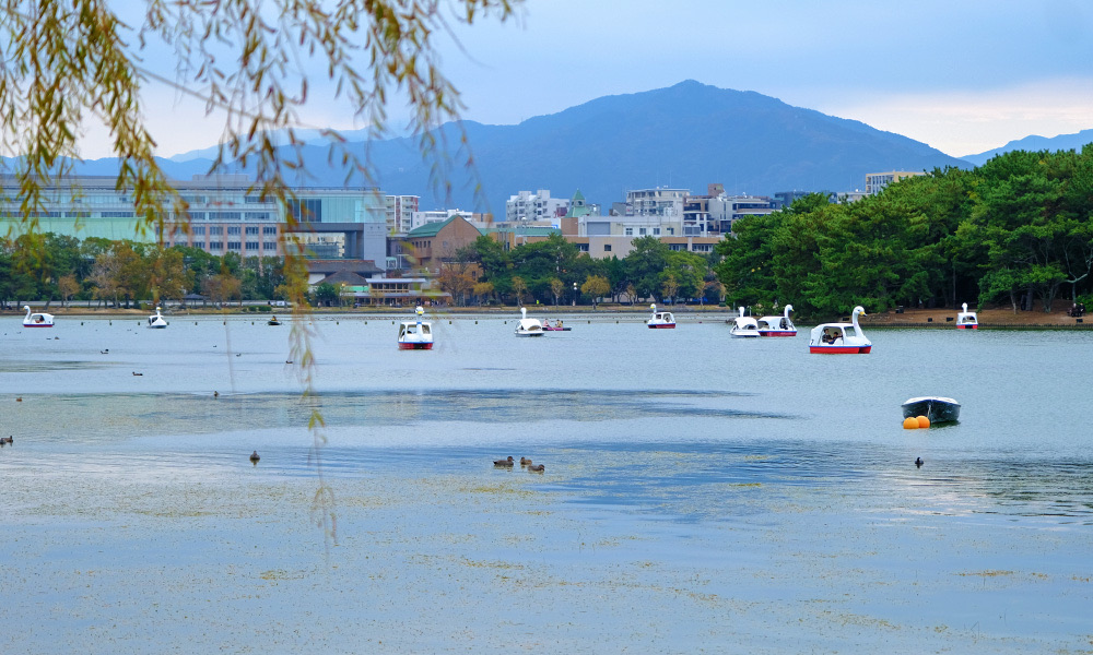 大濠公園 | 去趣 chicTrip