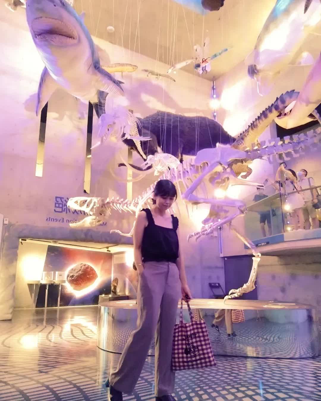 臺南左鎮化石園區(16:00截止售票、17:00閉館) | 去趣 chicTrip