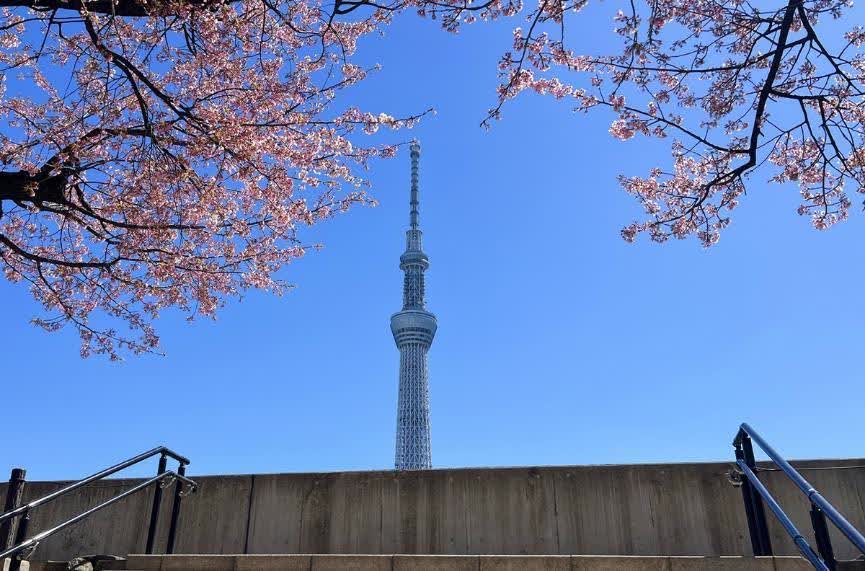 隅田公園 (淺草側) | 去趣 chicTrip