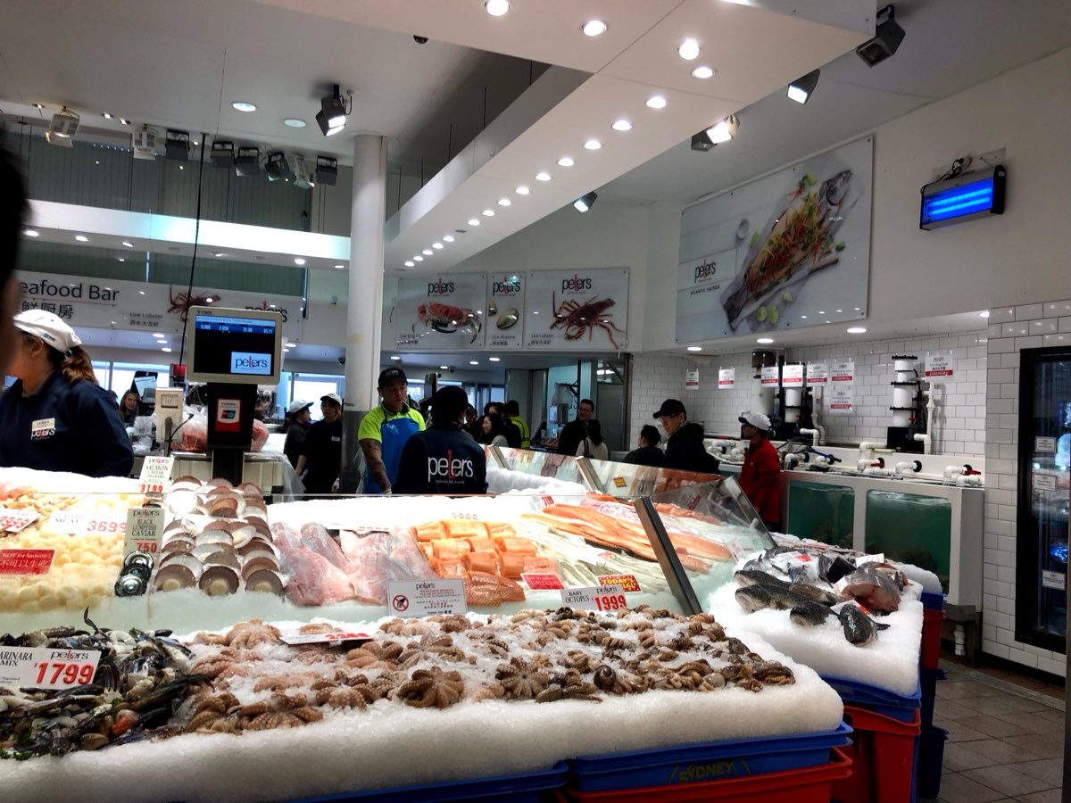 Sydney Fish Market | 去趣 chicTrip