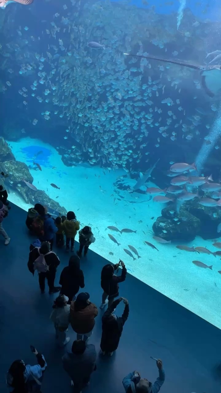 Xpark 水族館 | 去趣 chicTrip