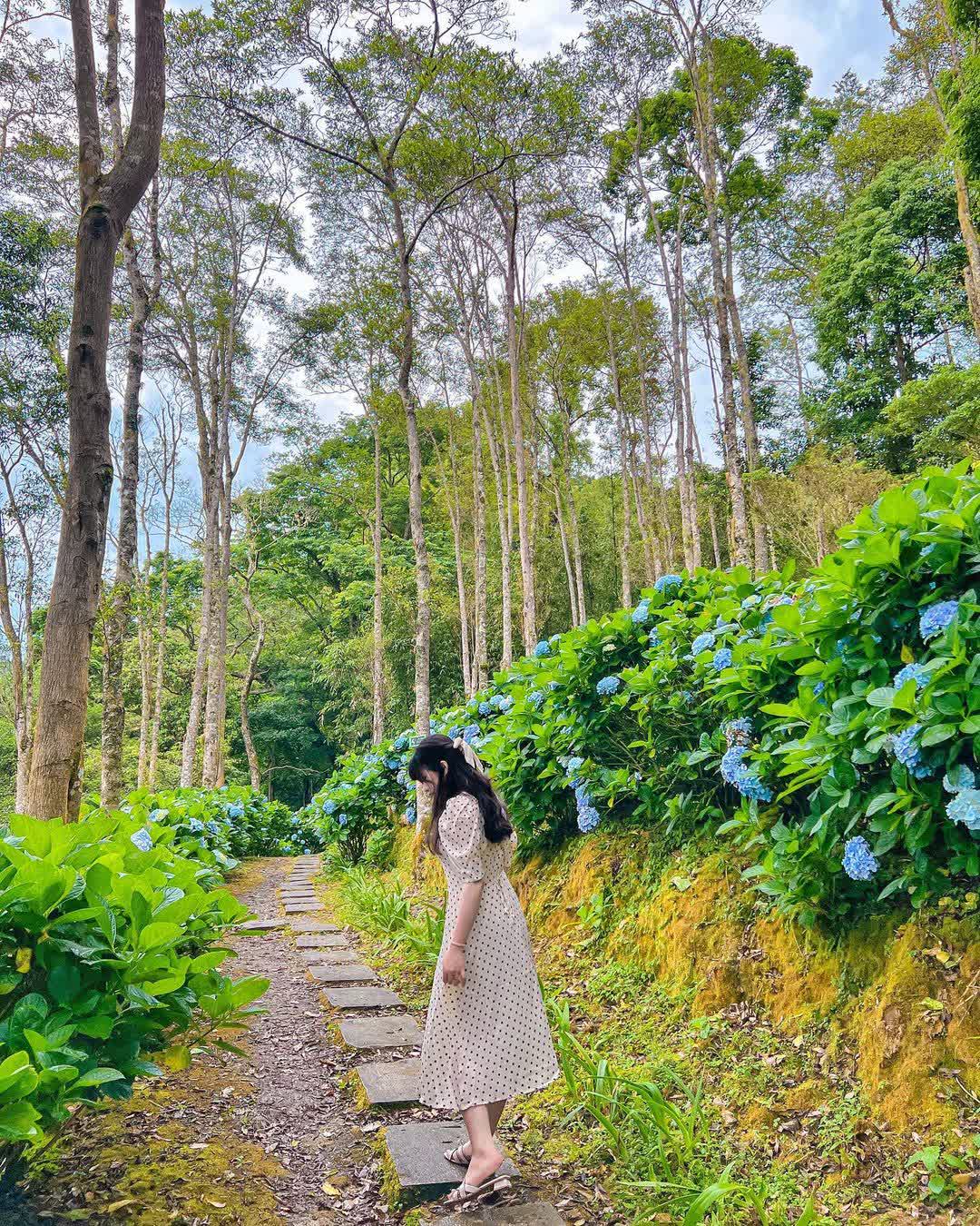 青山農場 | 去趣 chicTrip