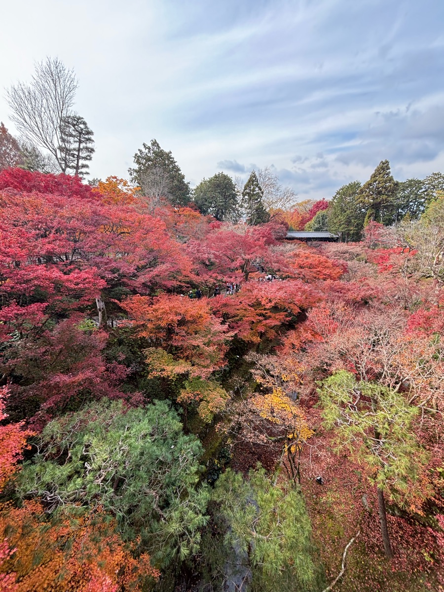 東福寺 | 去趣 chicTrip