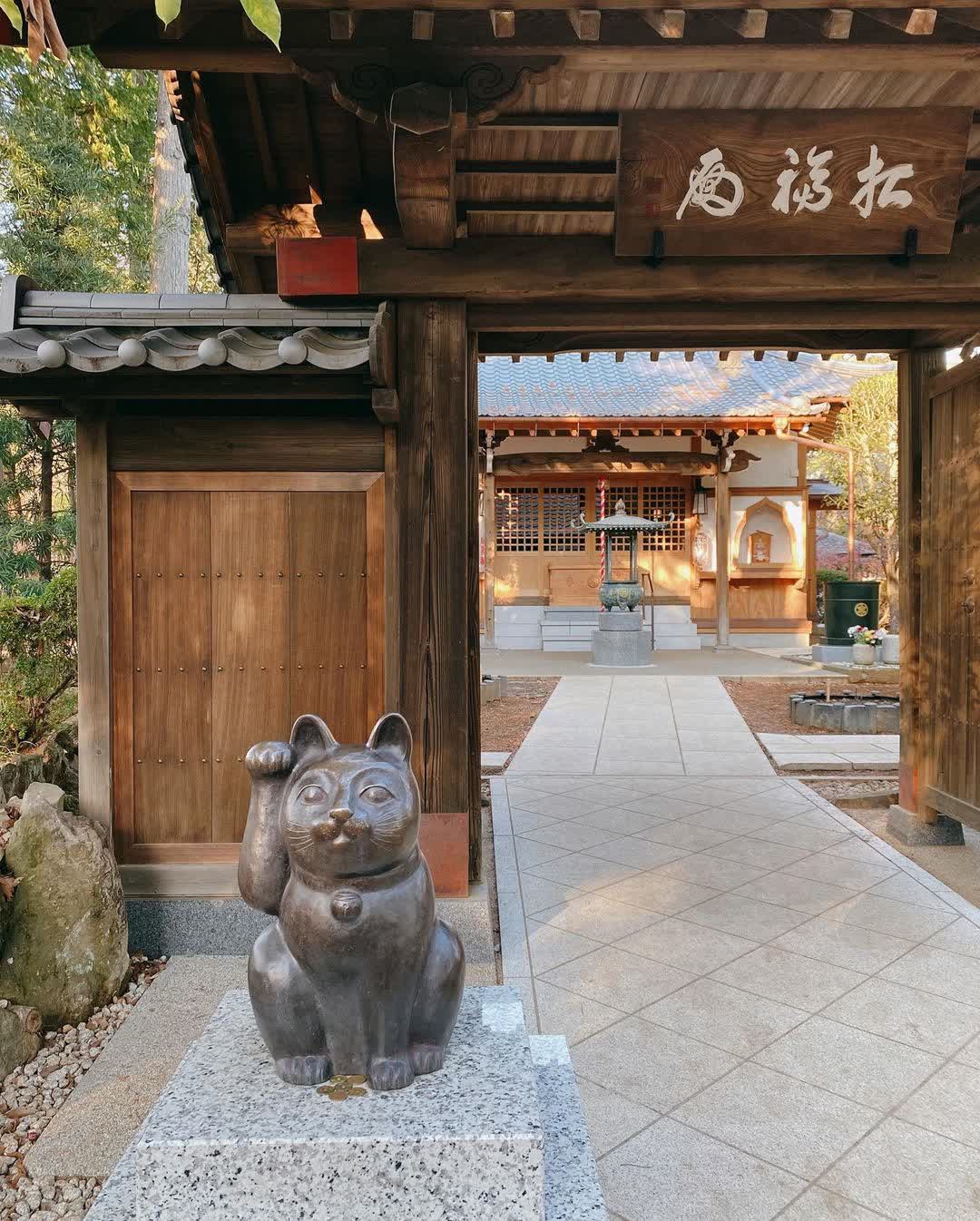 世田谷 豪德寺 | 去趣 chicTrip