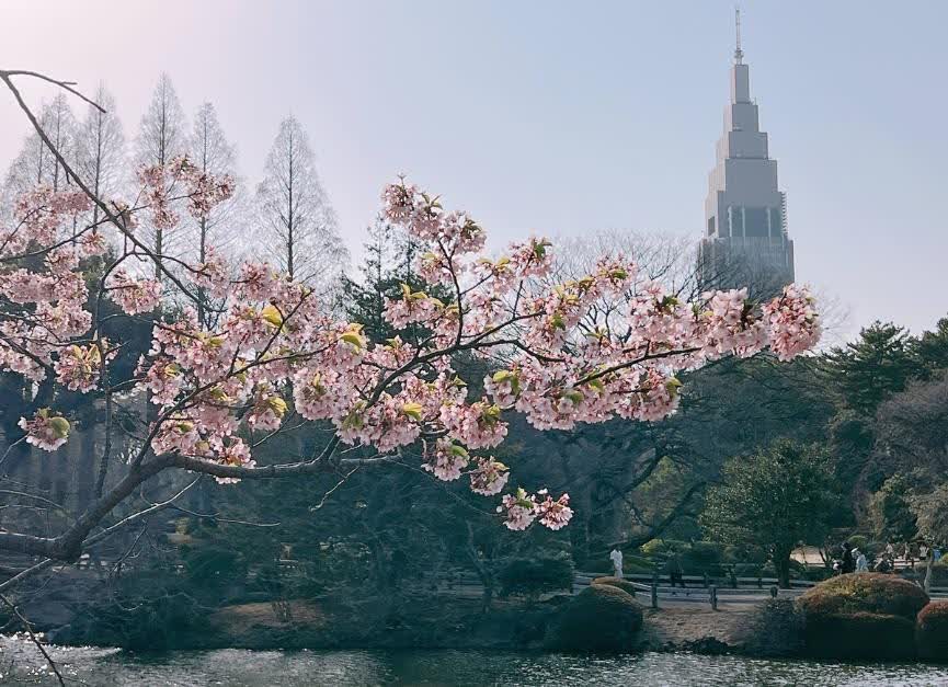 新宿御苑 | 去趣 chicTrip