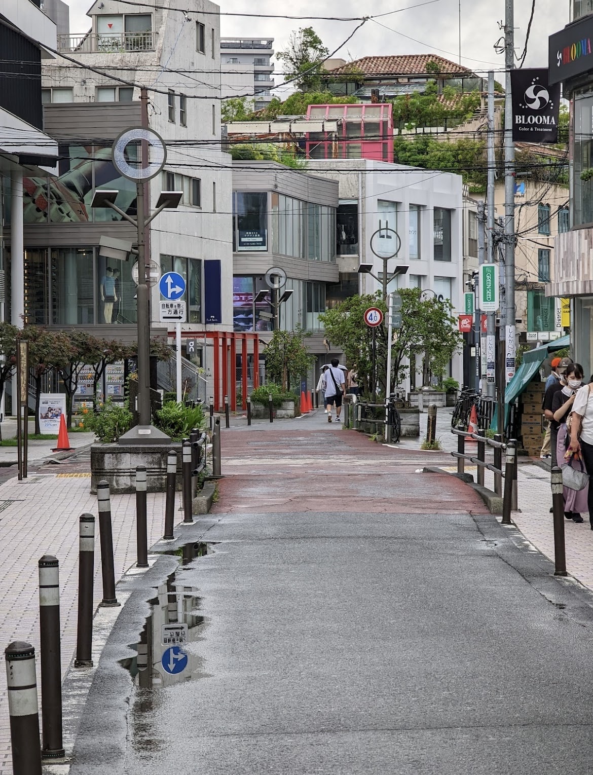 Cat St | 去趣 chicTrip