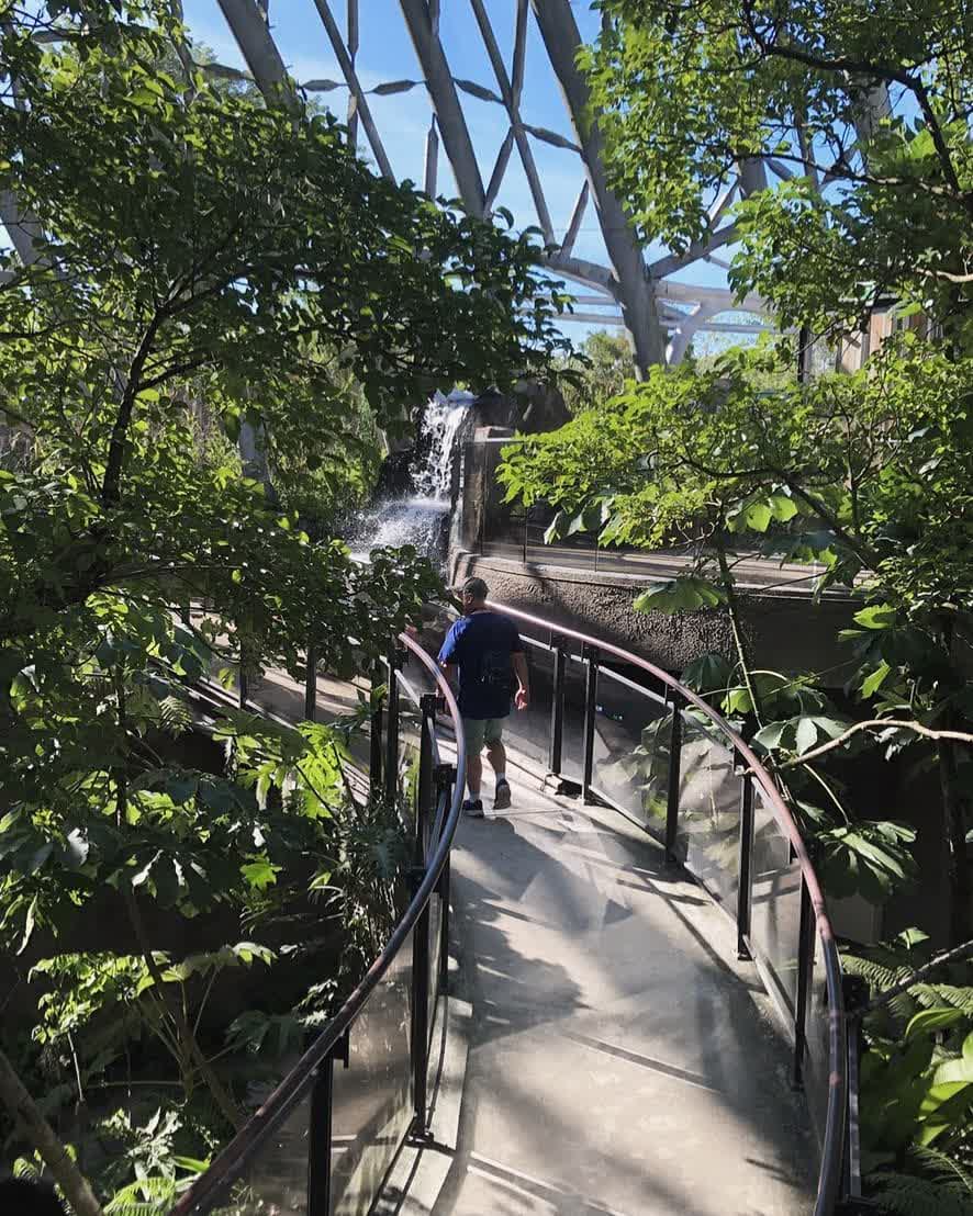 臺北市立動物園 | 去趣 chicTrip