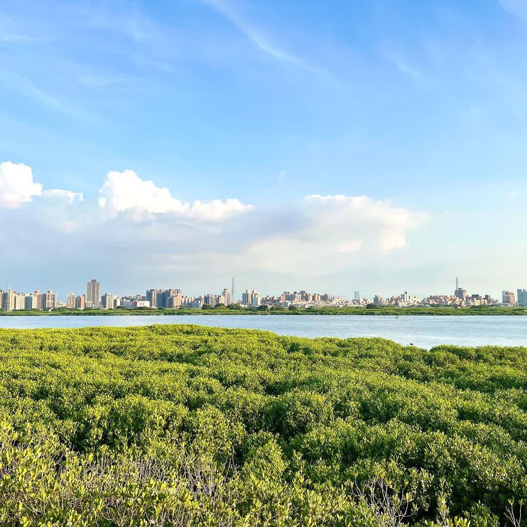 大稻埕碼頭 | 去趣 chicTrip