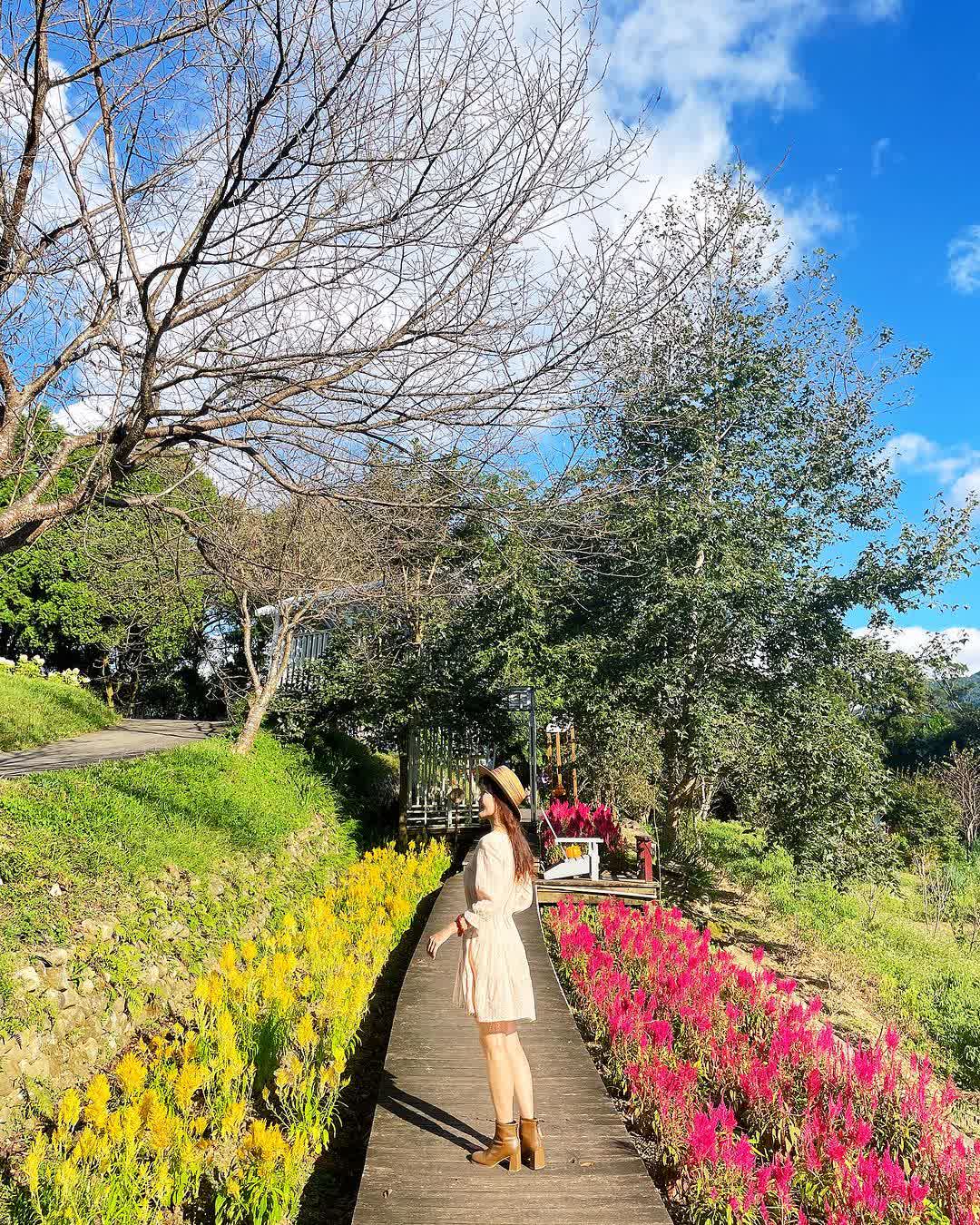 薰衣草森林新竹尖石店 | 去趣 chicTrip
