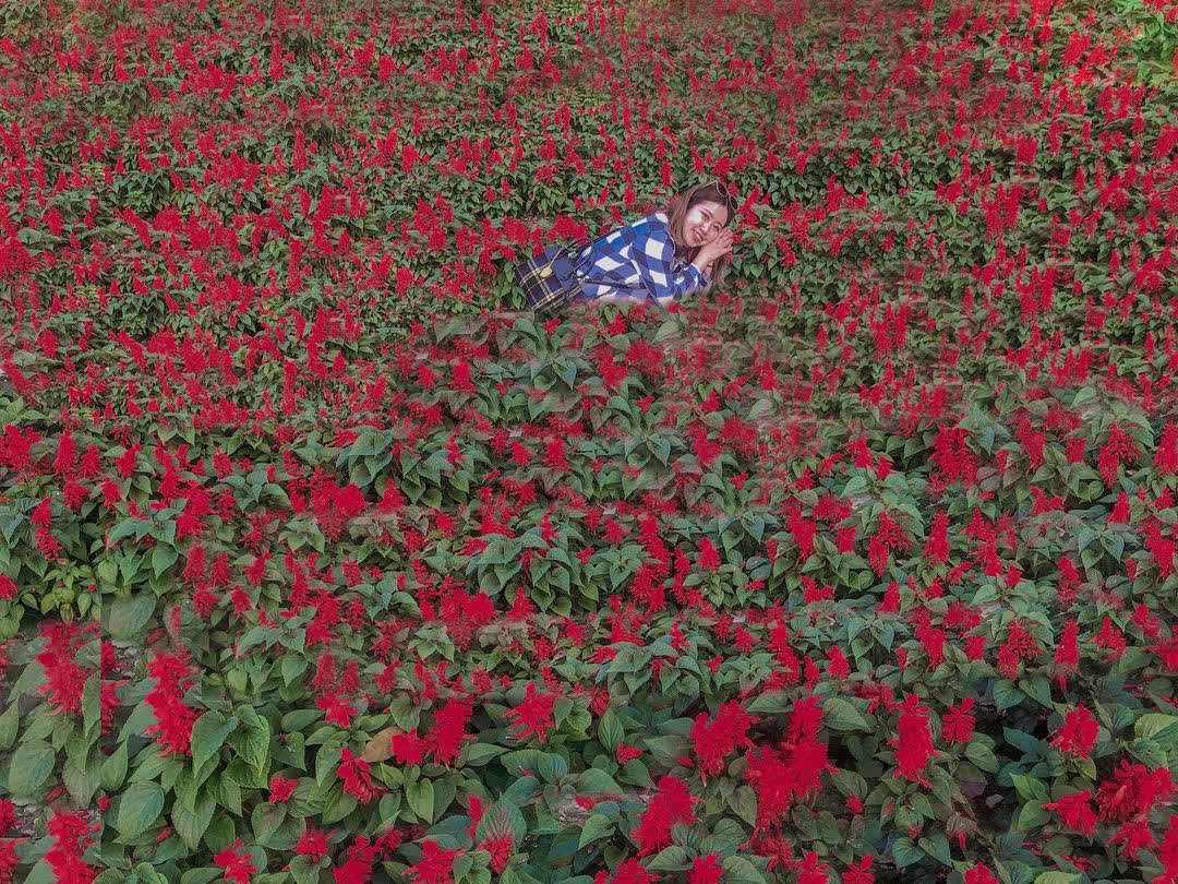 東勢林場遊樂區 | 去趣 chicTrip