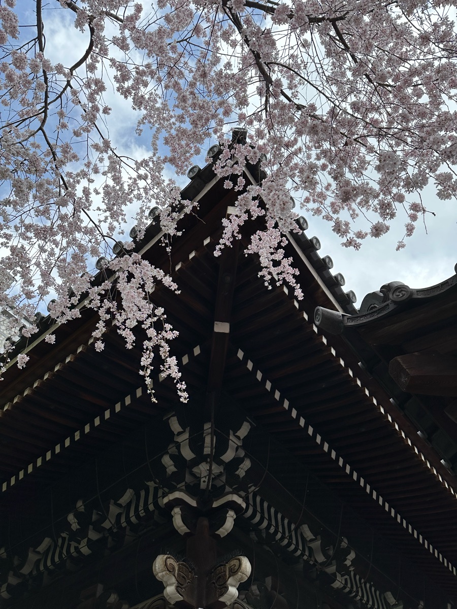 紫雲山 頂法寺（六角堂） | 去趣 chicTrip