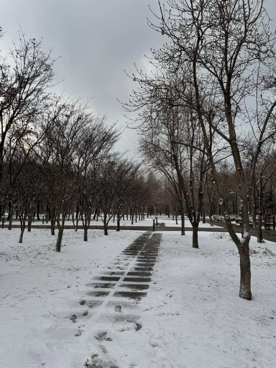 首爾林公園 | 去趣 chicTrip