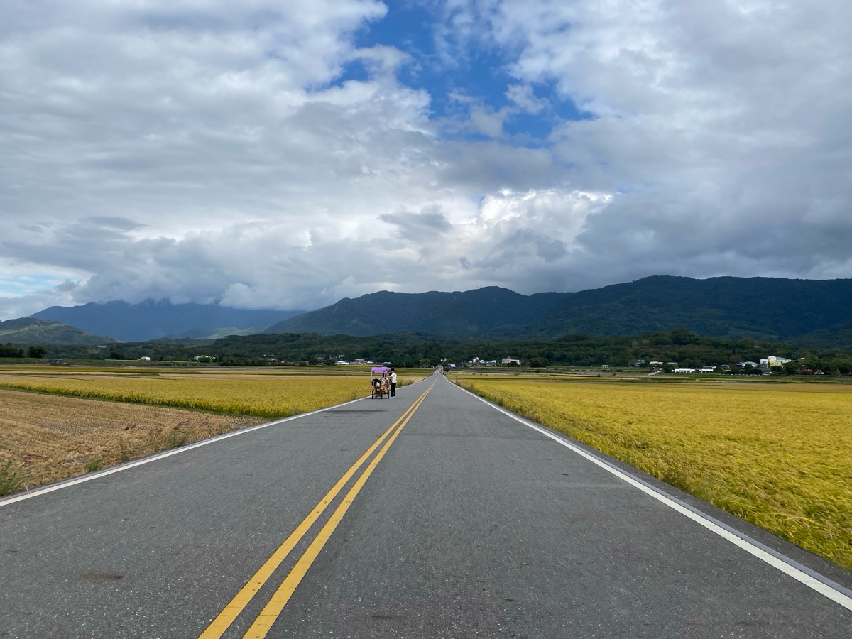 臺東池上錦新三號道路 伯朗大道 | 去趣 chicTrip