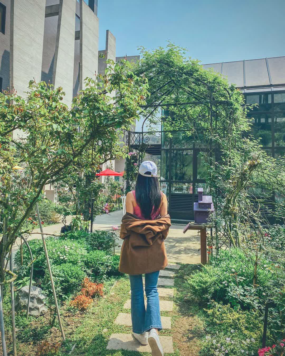 雅聞七里香玫瑰森林 | 去趣 chicTrip