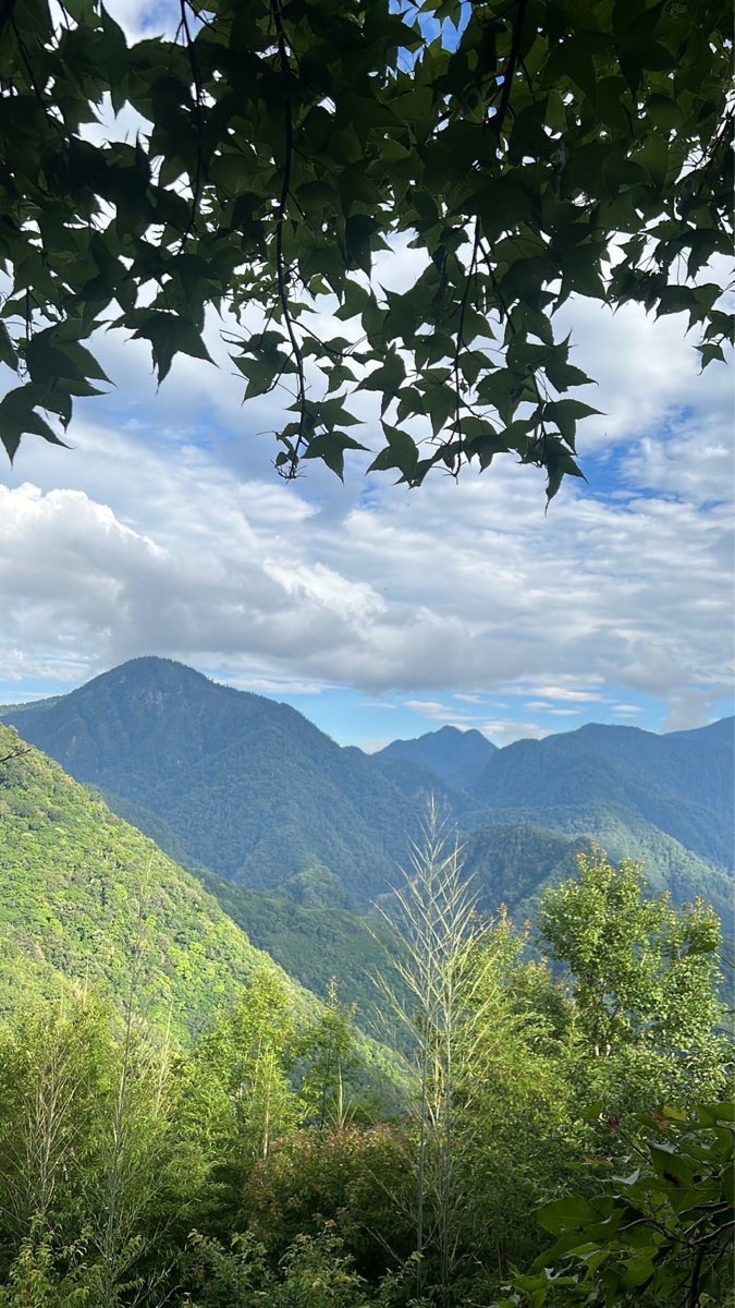 司馬庫斯 | 去趣 chicTrip