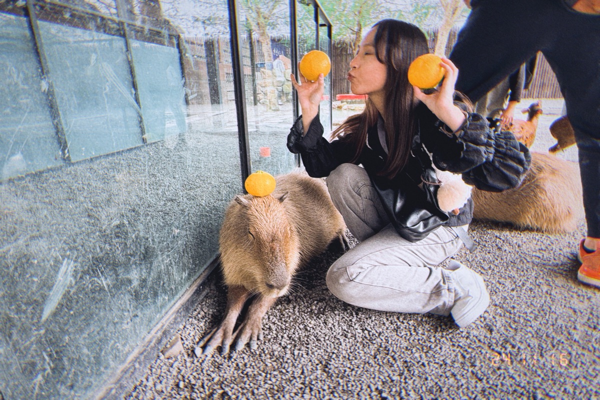 張美阿嬤農場（月森甯手作工坊） | 去趣 chicTrip