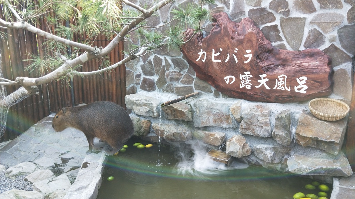 張美阿嬤農場（月森甯手作工坊） | 去趣 chicTrip