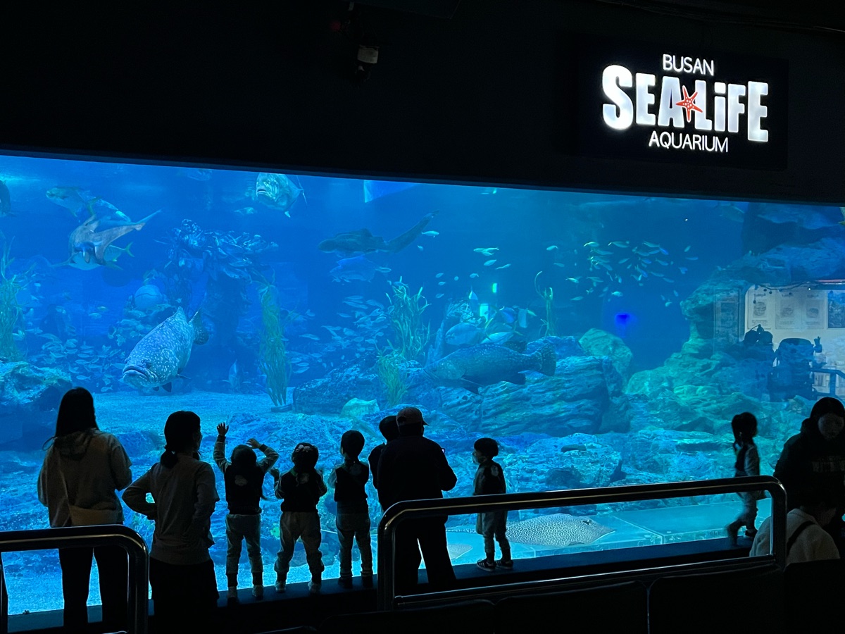 SEA LIFE釜山水族館 | 去趣 chicTrip