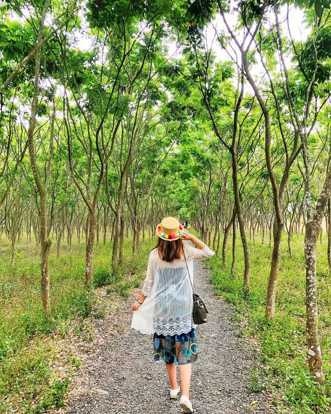 林後四林平地森林園區 | 去趣 chicTrip