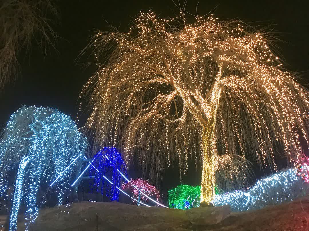 晨靜樹木園 | 去趣 chicTrip