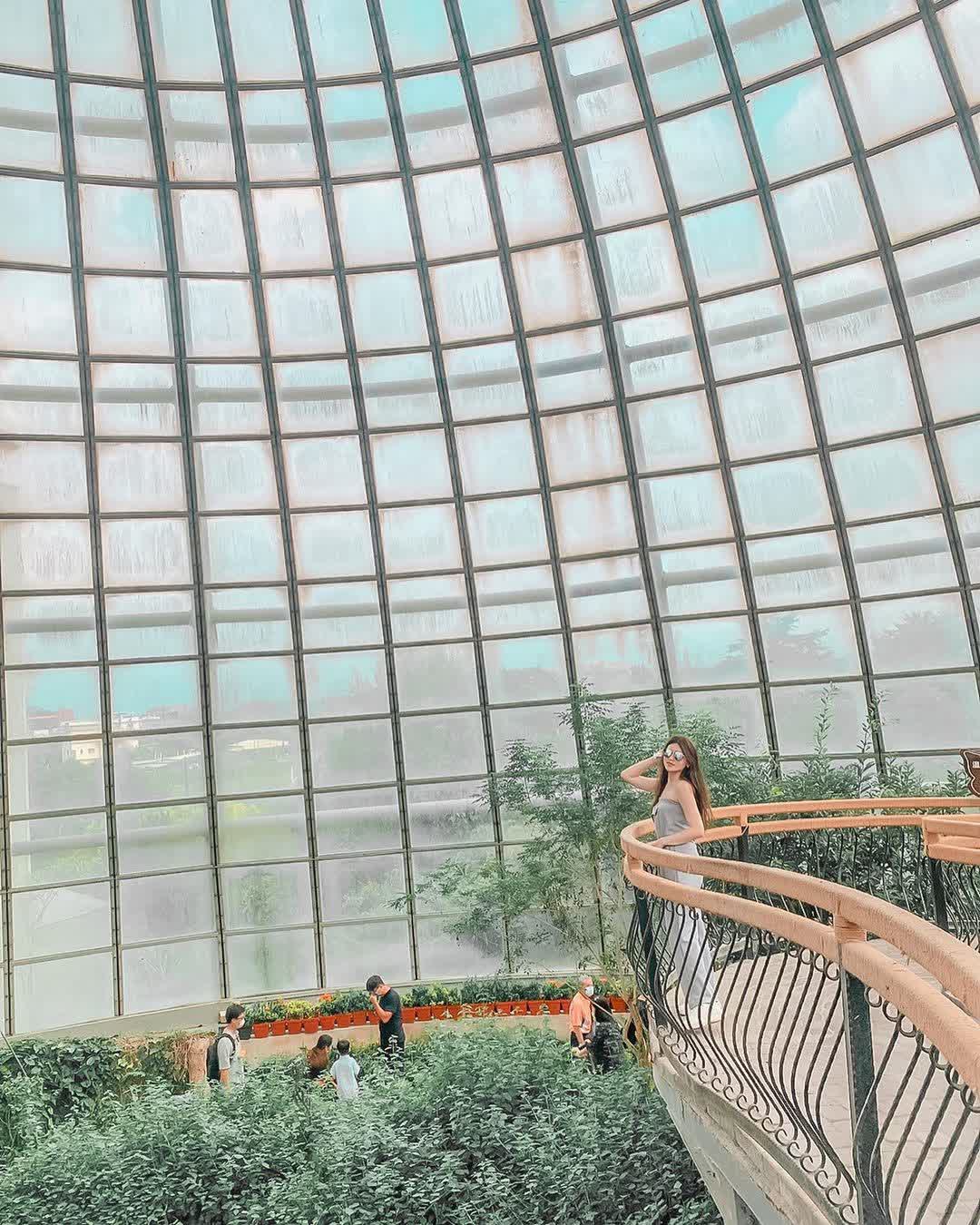 嘉大昆蟲館 | 去趣 chicTrip