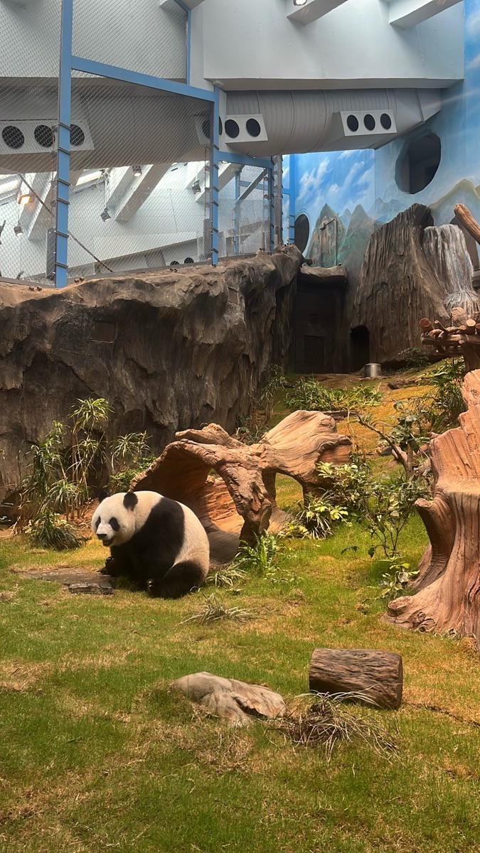 海洋公園亞洲動物天地 | 去趣 chicTrip