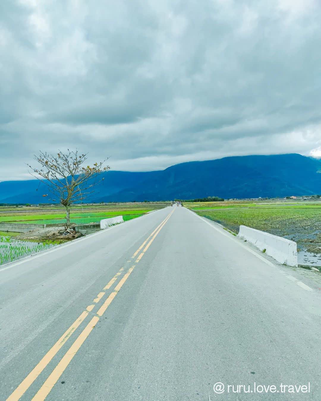 臺東池上錦新三號道路 伯朗大道 | 去趣 chicTrip