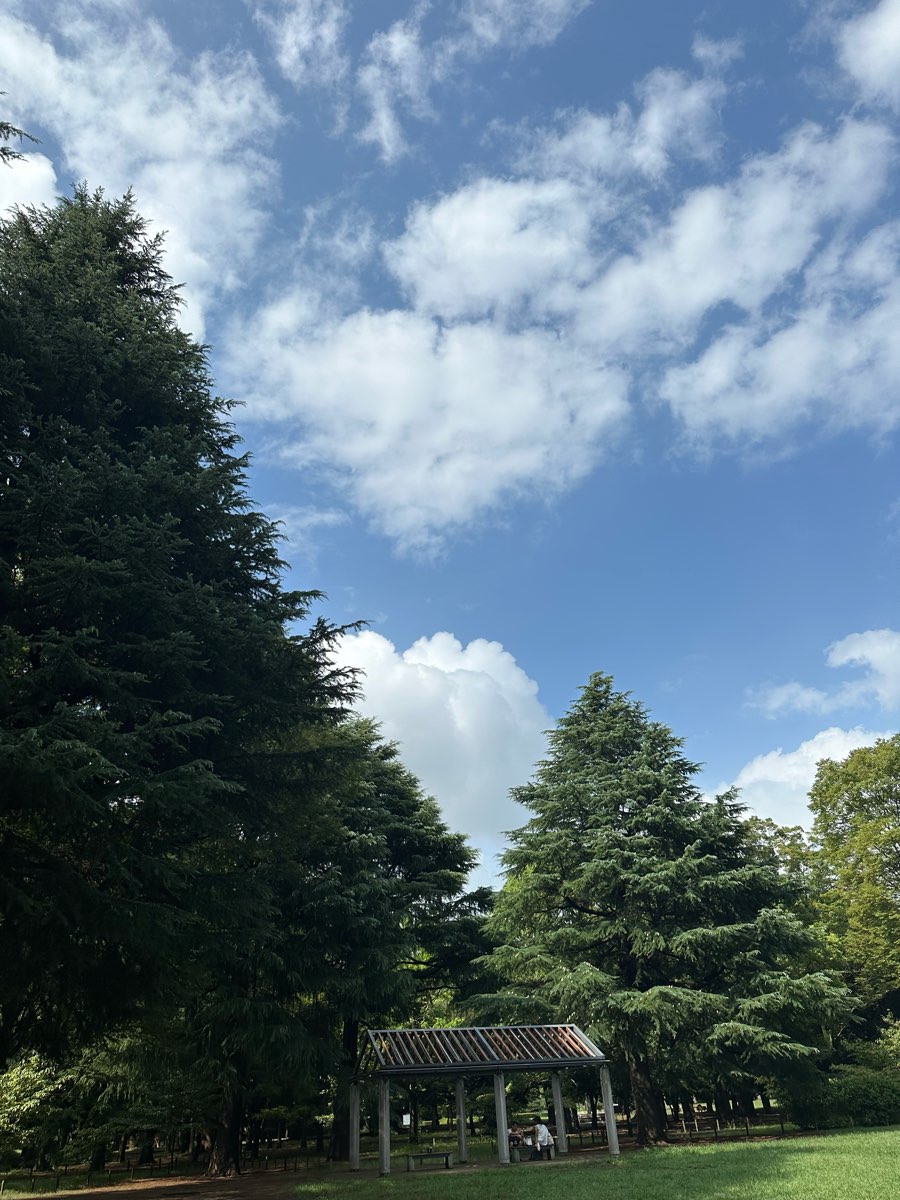 代代木公園 | 去趣 chicTrip