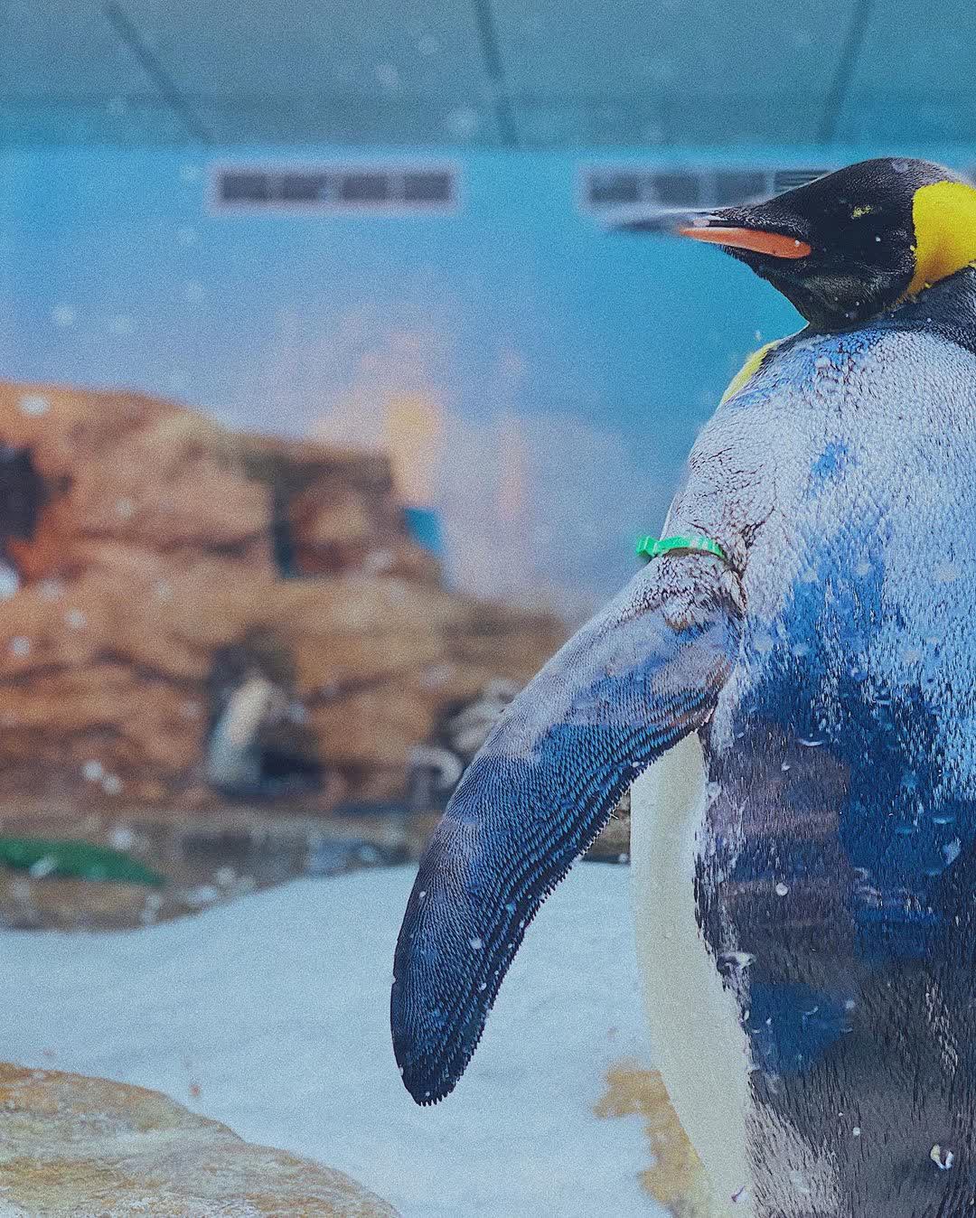 Xpark 水族館 | 去趣 chicTrip