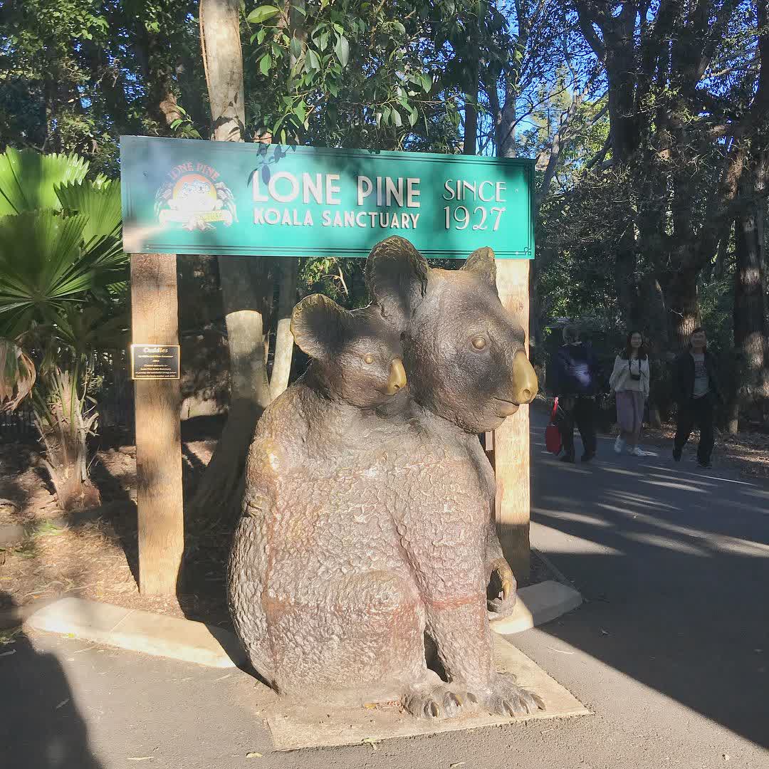 龍柏動物園 | 去趣 chicTrip